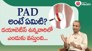 PAD అంటే ఏమిటి? డయాబెటిస్ ఉన్నవారిలో ఎందుకు వస్తుంది.. Dr. Sridhar Reddy Baddam | TeluguOne Health