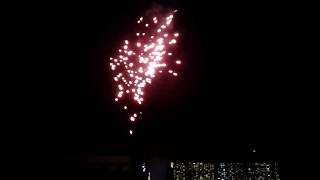 মন ভালো করার মতো একটি ভিডিও মাত্র  29  সেকেন্ড  ।।  Fireworks