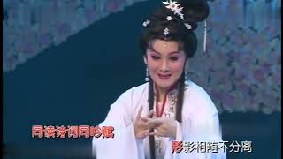 选段潮剧《梁祝·双宿双飞不分离 》 陈婷婷演出 广东省百花潮剧院 卡拉OK Teochew Opera