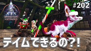 【ASA】エルフトビネズミ（Jerboa Elf）をテイムしようとあれこれ試す男の物語 EP202［ARK Survival Ascended / エクスティンクション］