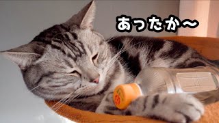 猫に手作り湯たんぽを作ったらこうなりました!