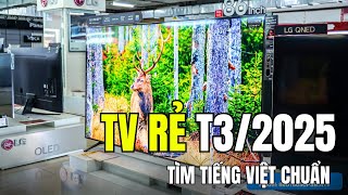 TV Từ 32” Đến 98” Giá Tốt Nhất! TCL, Samsung, LG, Sony – Nên Mua Loại Nào?