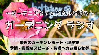 ガーデニングラジオ＃１５　誕生花・最近のガーデニング・春の天気・素敵なスピーチ・皆様へのお知らせなど・・・うたた寝ガーデンの花を眺めながらのんびり耳を傾けてみて下さい。#ガーデニング　#ラジオ