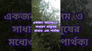 একজন আলেম ও সাধারণ মানুষের মধ্যে এত পার্থক্য #shortsviral #walid_saifullah