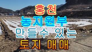 홍천 농지 원부 만들 수 있는 토지 매매 1409제곱 426평 5천만