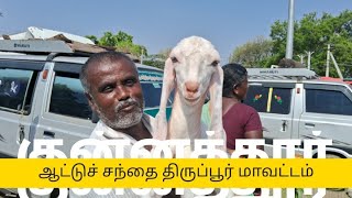 1500 முதல் 5500 வரை ஆட்டுக்குட்டிகள் என்னிடம் குன்னத்தூரில்#kunnathurgoatmarket #குன்னத்தூர்#goat ..