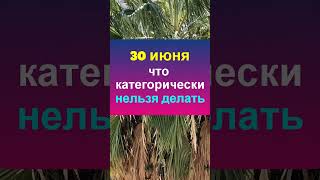 30 июня народный праздник день Мануйло и Савелия. Что нельзя делать. Приметы традиции обряды