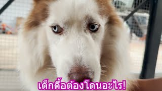 เด็กดื้อต้องโดนอะไร! | ข้าวเหนียว ขี้กระโปกหมา