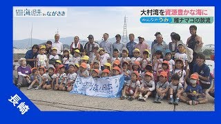 2017年 #25 大村湾を資源豊かな海に～稚ナマコ放流～ | 海と日本PROJECT in ながさき