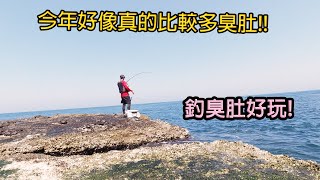 再次來200礁磯釣，其實200礁不只能岸拋鐵板，也適合磯釣喔!