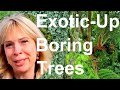 Tropical Gardens UK: How to Exotic-Up Your Boring Trees