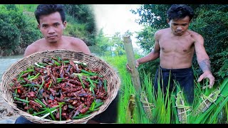 survival in forest - Man finding locust - Eating delicious