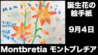 誕生花の絵手紙　9月4日　Montbretia モントブレチア