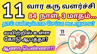 11 week pregnancy symptoms in tamil | 11 வார கர்ப்பம் | 11th week of pregnancy | pregnancy week 11|