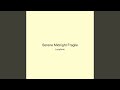Serene Midnight Fragile