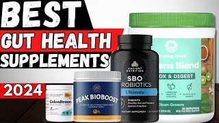 5 Best Supplements for Gut Health In 2024