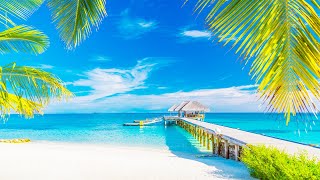 Tropical Beach Ambience ☕ 12 Hours of Bossa Nova Music with Ocean Waves Sounds for Relaxation