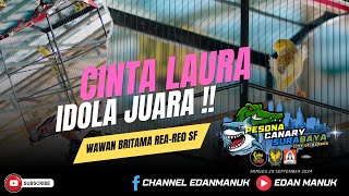 Jadi pusat perhatian Penonton !! Kenari Cinta Laura !