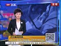 男子持枪约战 树林上演真人cs 被抓自称无悔【法治进行时】