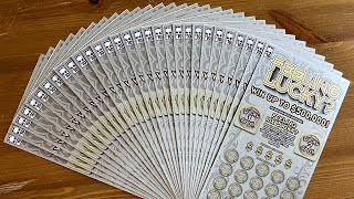 FULL BOOK of SC Scratch-offs!🌟$300 Gamble🌟We Crushed the Odds For PROFIT!💥