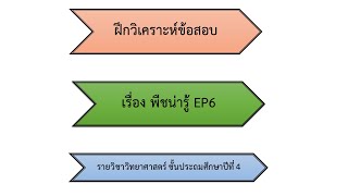 วิเคาระห์ข้อสอบ เรื่องพืชน่ารู้ วิชาวิทยาศาสตร์ ป.4 ep6