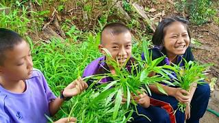 วีดีโอนำเสนอ คศ.2 ครูวุฒิชัย   กองแก้ว โรงเรียนบ้านห้วยไม้ซาง