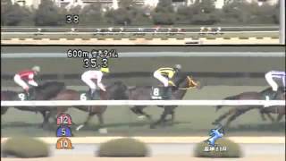 【2014年チューリップ賞】ハープスター直線ムチなし快勝！！