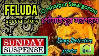 Gosaipur Sargaram | গোঁসাইপুর সরগরম | Sunday Suspense | Audio Book | bong directive stories