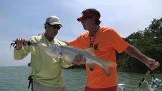 Florida Adventure Quest Pine Island Sound Snook