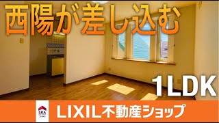 【北斗市追分】イオン上磯店から徒歩圏内！？西陽が差し込むお部屋【コンフレール追分　202号室　1LDK】