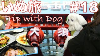 My old dog enjoyed shopping streets in Osu, NAGOYA~Trip in Japan with dog #18