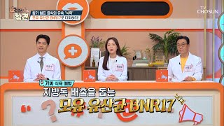 가짜 식욕조절에 도움 주는 '모유 유산균 BNR17' TV CHOSUN 20220415 방송 | [건강한 참견］ 15회 | TV조선