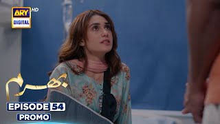 Bharam Episode 54 | Promo | Hina Tariq | Rabya Kulsoom | Omer Shahzad | ARY Digital Drama