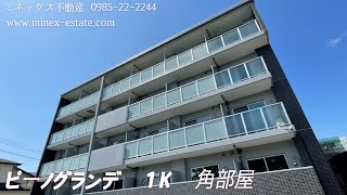 【ミネックス不動産】ピーノグランデ　  宮崎市大塚町　新築マンション