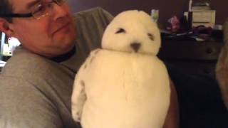 Brian and Hedwig