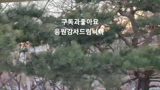 나연의 닭도리탕 이야기 (아름다운꽃) 라이브 방송 홍보영상