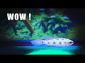 9 Most GLOWING Nano Fish !