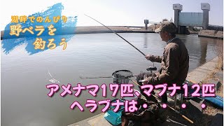 アメナマ１７匹、マブ１２匹、ヘラブナは・・・【へら野釣り、横利根川水門外】