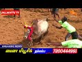 செந்தாரப்பட்டி ஜல்லிக்கட்டில் செல்லதுரை காளை sentharapatty jallikattu 2018