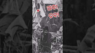 ଅବା ଡବା #aba daba#odiacomedy #grsexpress #trending #shortsfeed #viralshort #comedy #shorstvideo