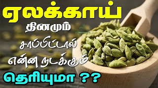 ஏலக்காயில் இவ்வளவு மருத்துவ பயன்களா!!! | Health benefits of Cardamom | Elakkai benefits in tamil