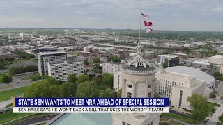 TN GOP Senator wants to meet NRA ahead of special session