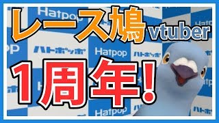 【羽鳥ぽぽぽ1周年！】レース鳩の始め方！【第089羽】