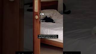 Something Snuck Into Her Hotel Room