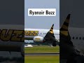 Ryanair Buzz B737 Max landing at Dublin #dublinairport #ryanair #b737max