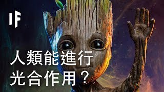 如果人類可以進行光合作用？| 大膽科學