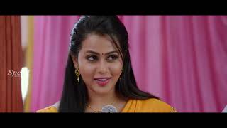 Annadurai Malayalam Dubbed movie | Vijay Antony | Diana Champika | Kaali Venkat | Jewel Mary