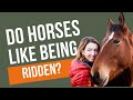 Do Horses Like Being Ridden? Exploring Freedom-Based Training with Elsa Sinclair