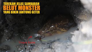 BIKIN JANTUNG DEG-DEG SERRR!! DETIK-DETIK SAMBARAN KERAS BELUT MONSTER