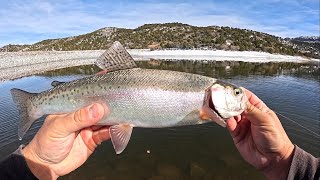 Rainbow Trout Catch \u0026 Cook (Fish n’ Chips)